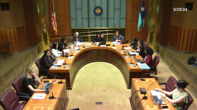 City Council Approves Controversial Rezoning Amid Pollution Concerns