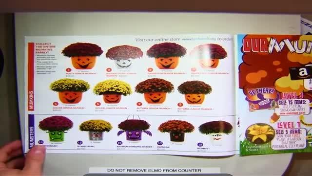 Grosio Educational Foundation gears up for monster bash fundraiser