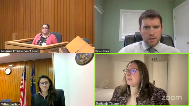 Court hears concerns over children's safety amid custody battle