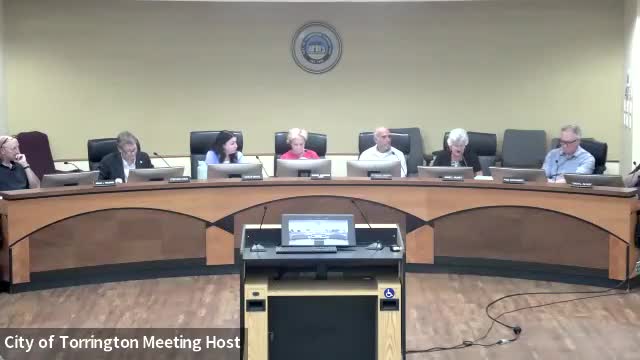 Council debates controversial solar project amid community concerns