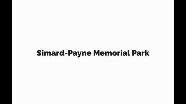 City unveils ambitious master plan for Smart Pain Park