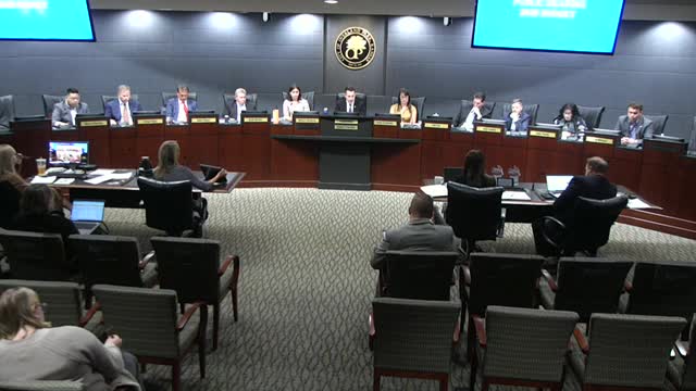 Budget Hearing Sparks Community Debate Over Funding Priorities