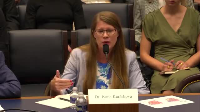 China and Russia exploit European elections to spread disinformation