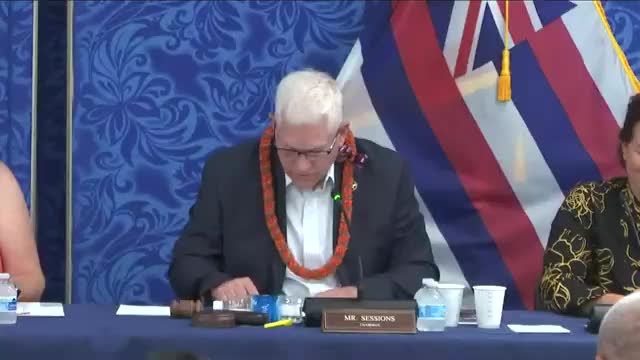 Maui wildfire recovery efforts showcase extraordinary community resilience