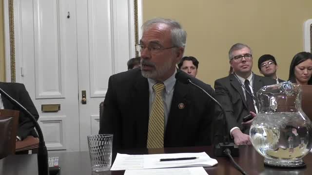 Bipartisan bill sparks debate on voting rights for noncitizens