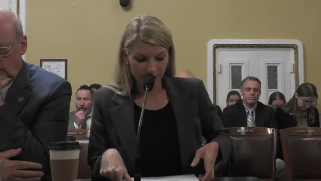 Congresswoman fights for parental leave voting rights