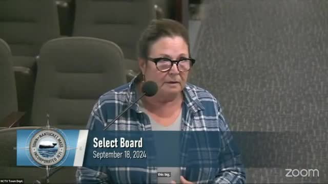 Safety Concerns Rise Over Wind Turbine Blade Failures