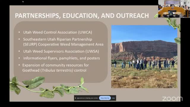 Community rallies to combat invasive goat head weeds