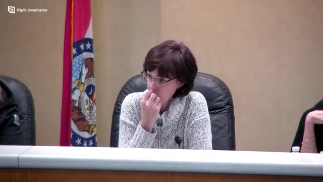 City Council Debates Fireworks Regulations Amid Community Concerns