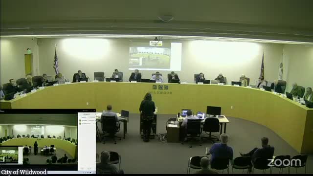 City Council Faces Backlash Over Controversial Development Plans