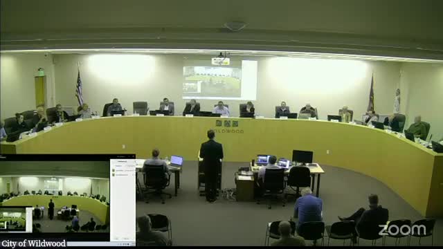 City Council Faces Urgent Calls for Public Safety Improvements