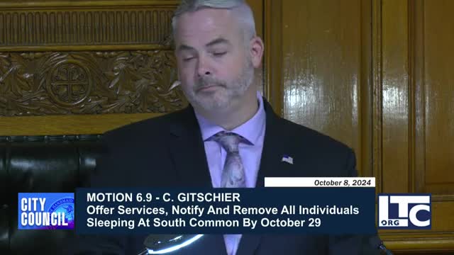 City Council Faces Urgent Calls for Traffic Safety Reforms