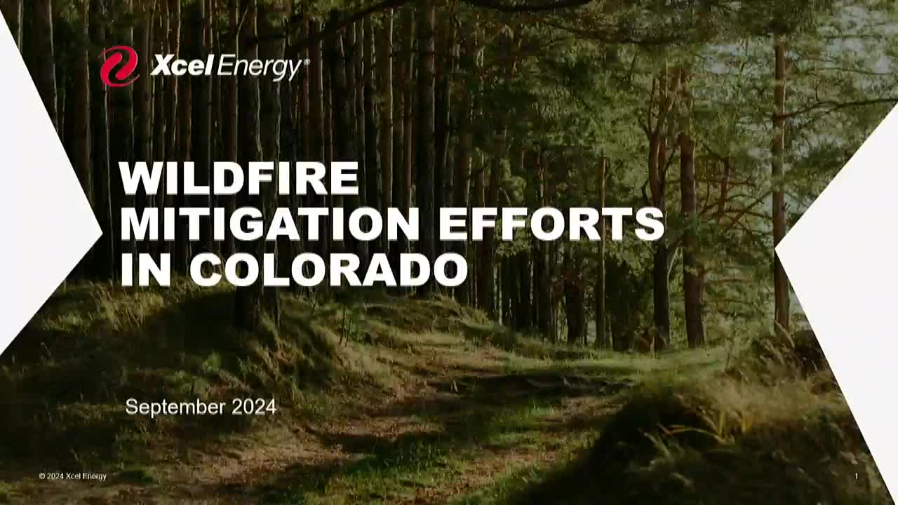 Utility company seeks $2 billion to prevent wildfires