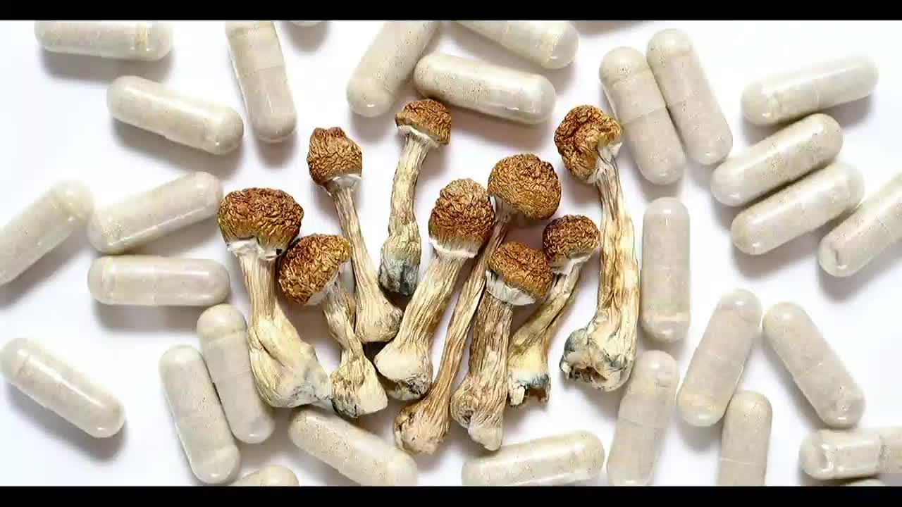 Regulations Emerge for Psychedelic Mushroom Healing Centers