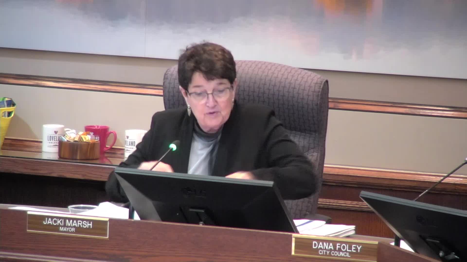 Public comment sparks heated debate over council resolutions