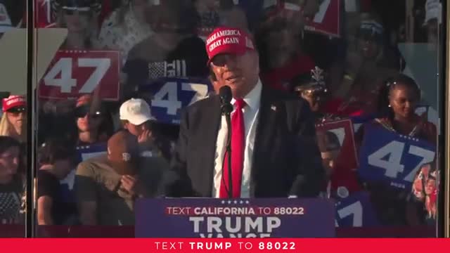 Armed Gangs Terrorize Communities Amid Border Crisis