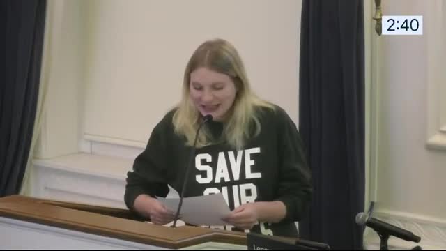 Neighbors Clash Over Sidewalks and Safety in Heated Debate