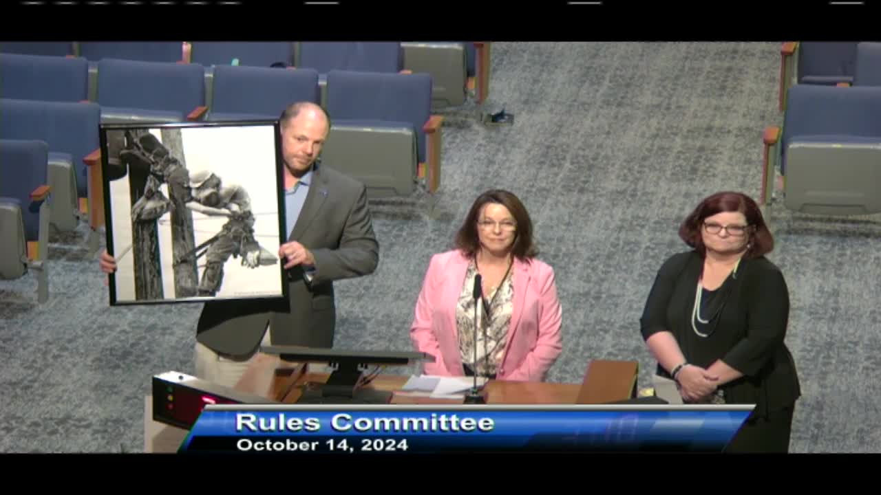 Council honors hero for life-saving rescue efforts