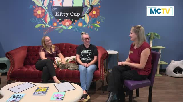 Fostering saves lives as shelters struggle with cat overpopulation