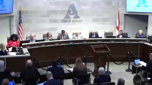 City Council Delays Branding Plan Amid Controversy