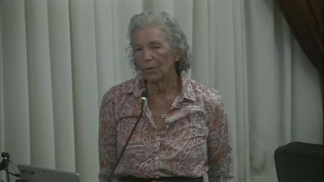 Residents rally for city to purchase flood-prone marshland