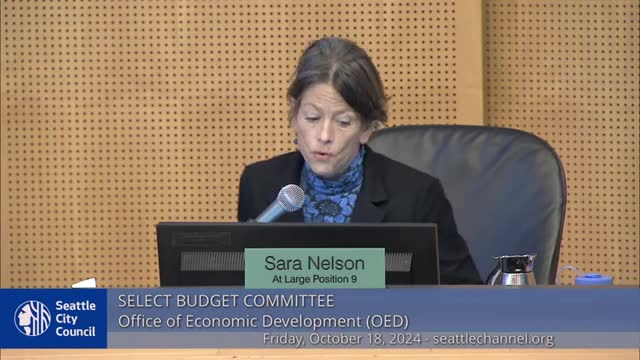 Council member raises alarm over cuts to minority business funding