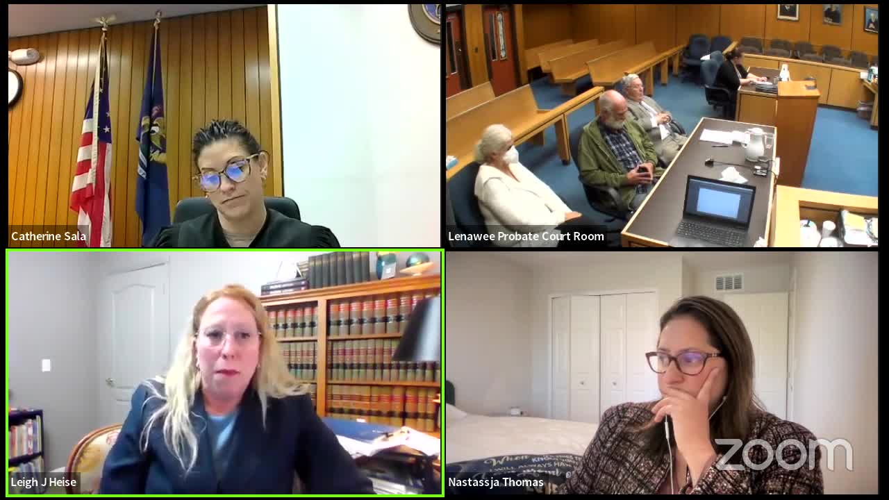 Court Orders Supervised Parenting Amid Concerns for Children's Safety