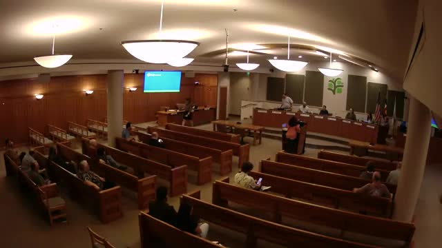 City Council Meeting Erupts Over Ballot Initiative Controversy