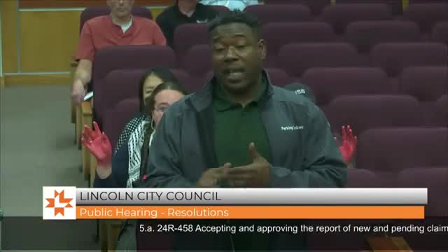 City resident battles for justice after tree damages car