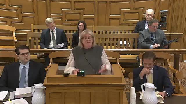 Court rules on mother's fitness amid domestic violence claims