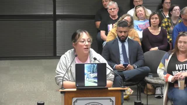 Parents Rally for School Funding and Safety Amid Concerns