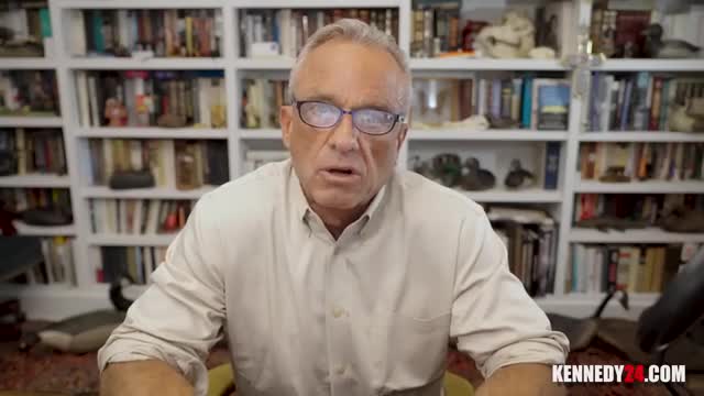 Doctor Epstein warns of digital manipulation's election impact
