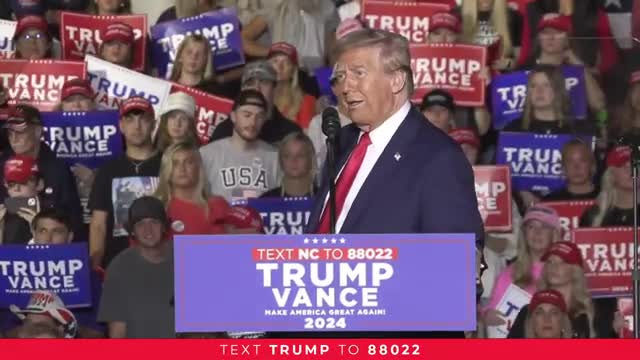 Trump vows to cut taxes and revive American economy