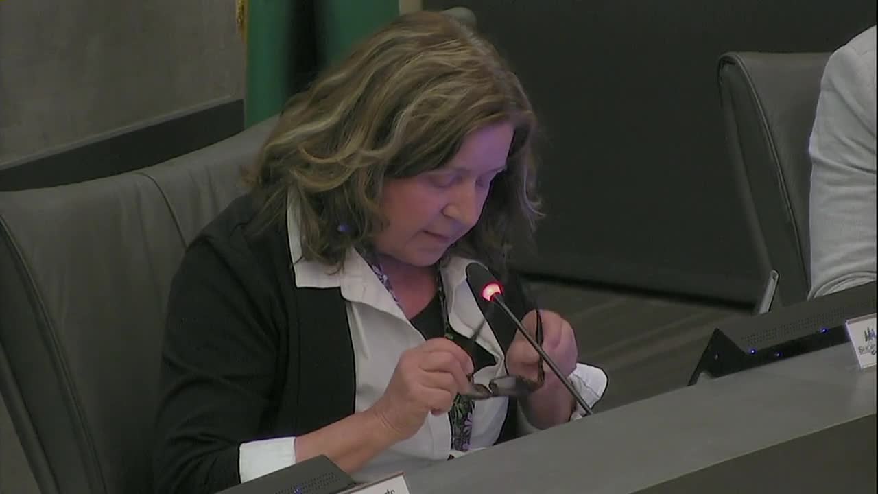 City Council Debates Bold Housing Density Changes
