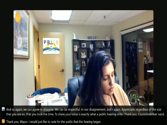 City Council Faces Backlash Over $1.5 Billion Budget Cuts