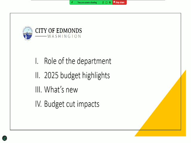 City IT Budget Faces Soaring Costs and Strategic Cuts