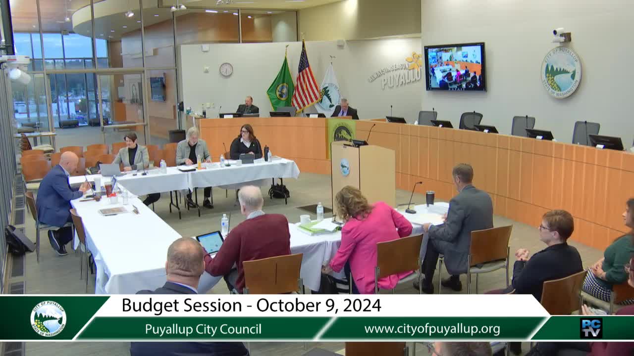 Mayor absent as council tackles critical budget plans