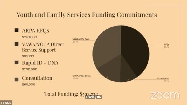 City invests 600000 to combat domestic violence crisis