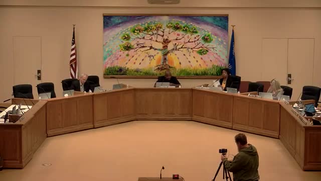 Milwaukee student urges council to reject armed officers in schools