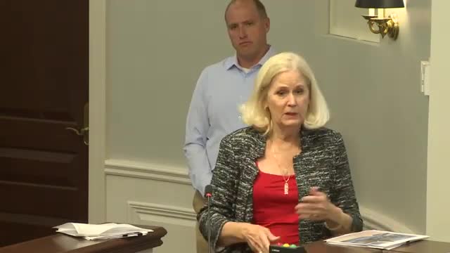 Council debates critical ordinance amid public hearing chaos