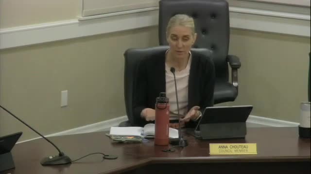 Mayor supports Tesla project despite leadership concerns