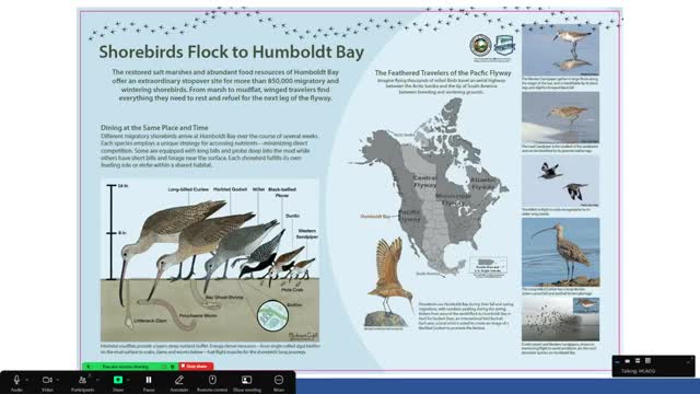 Bay Trail construction boosts resilience against flooding threats
