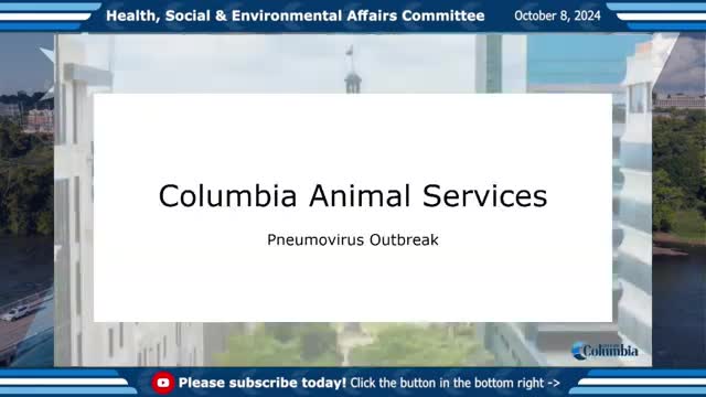 Shelters on alert as pneumovirus outbreak threatens dogs