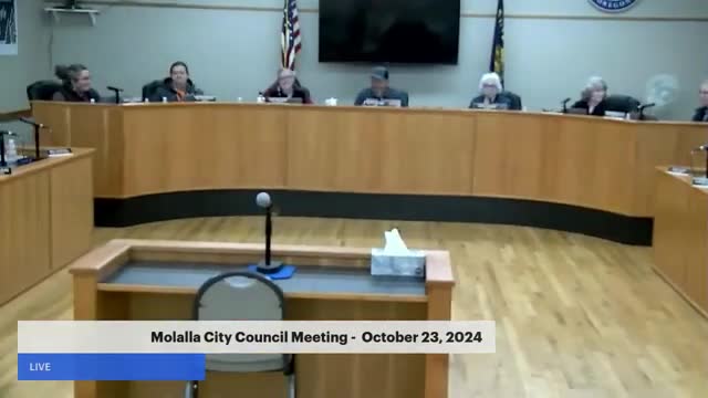 City Council Faces Uncertain Future Over Library Property Lease