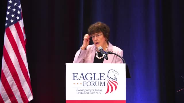 Constitutional Convention Sparks Battle Over Second Amendment Rights