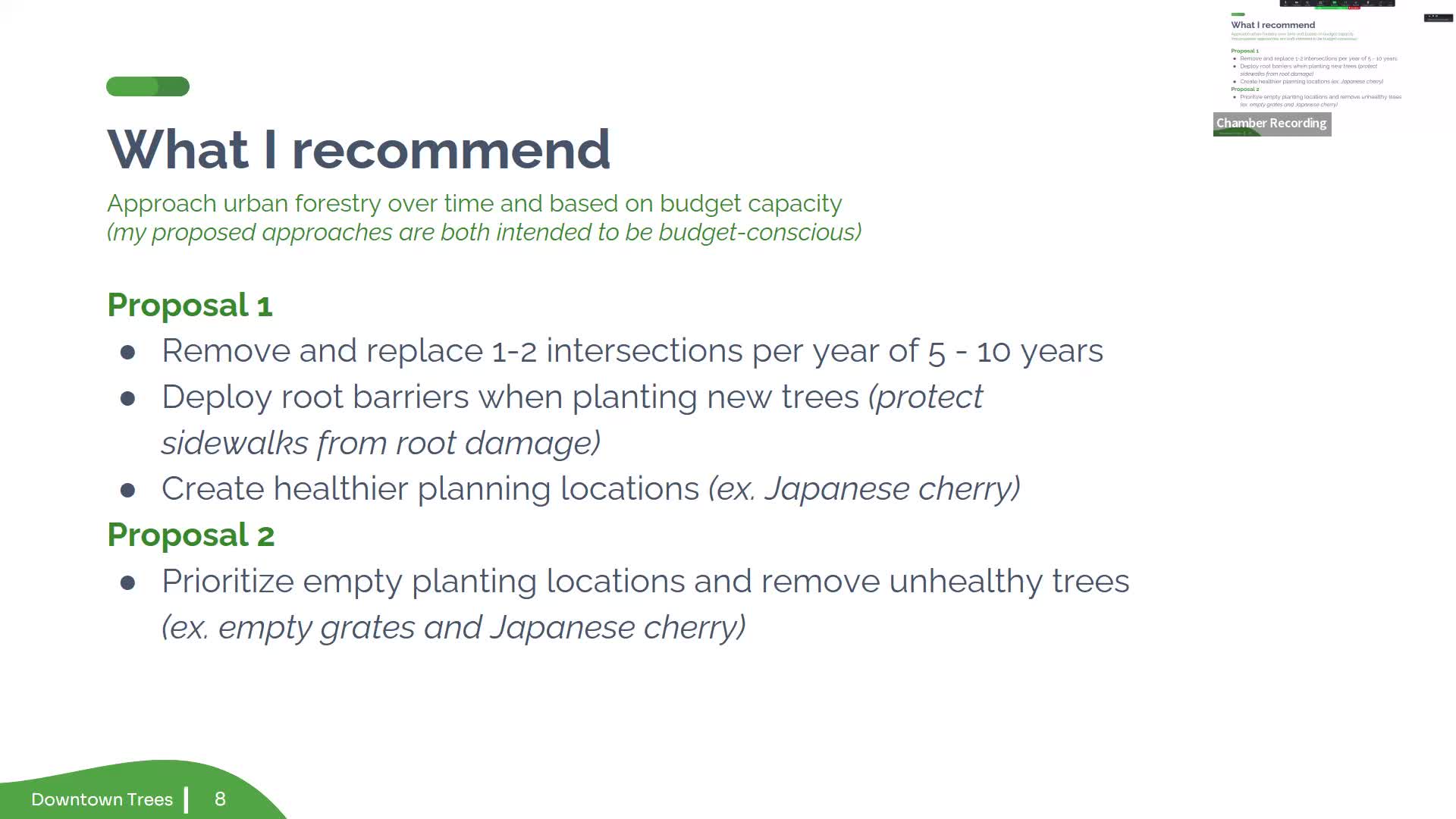 City plans ambitious tree diversity project for downtown