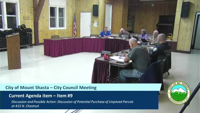 Town debates bold parking plan amid population decline