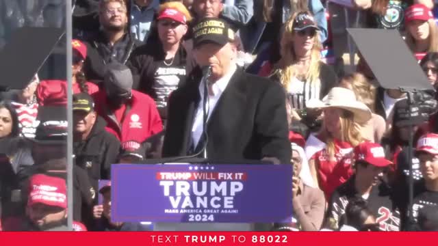 Trump vows to launch largest deportation program in history
