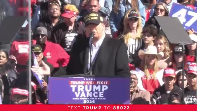 Trump promises tax cuts and economic revival for all