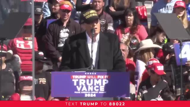 Trump slams Kamala Harris as unqualified and incompetent